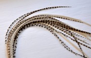 High Quality Grizzly Rooster Feathers